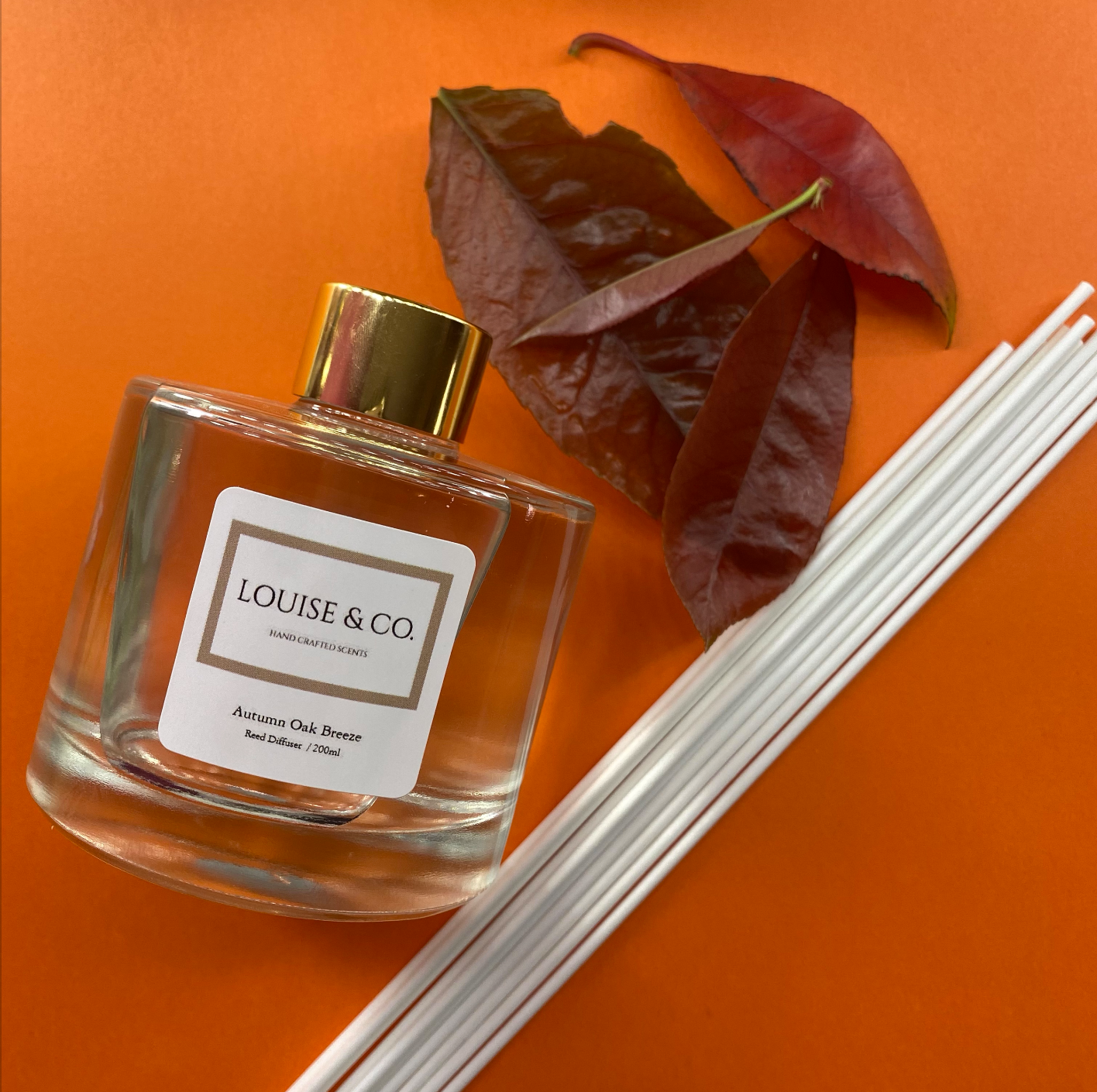 Reed Diffuser
